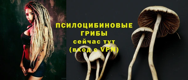 марки lsd Алексеевка