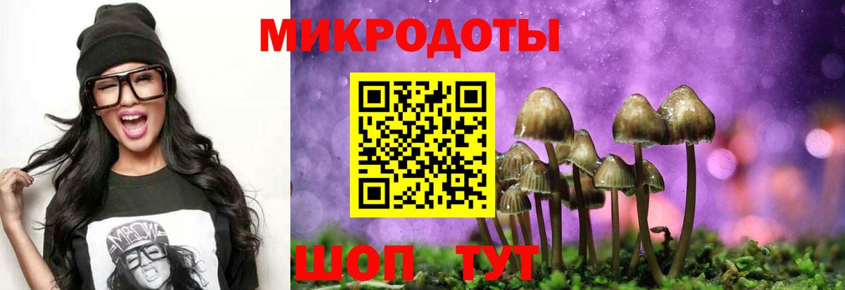 Строитель  закладки  Вход с VPN  Галлюциногенные грибы Magic Shrooms  Псилоцибиновые грибы мицелий 